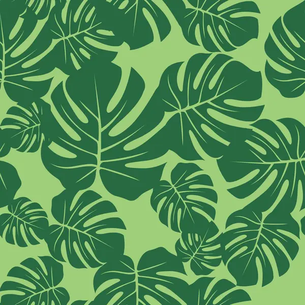 Monstera kusursuz desen bırakır. Tropikal desen, botanik yaprağı