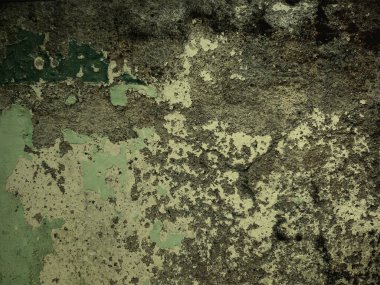 Doku Duvarı Soyut Arkaplan Yeşil Yumuşak Renk Kombinasyonu