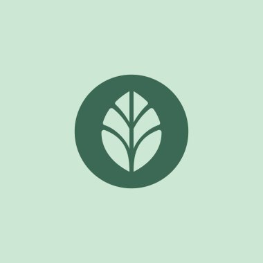 O Yaprak Logo Vektörü. O Başlangıç Simgesi Doğası