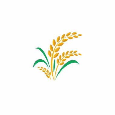 Rice Logo Vektör Şablonu