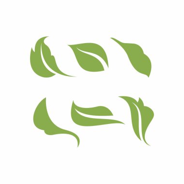 Yaprak Simgesi Vektör İllüstrasyonu. Logo Tasarımı Bırakır