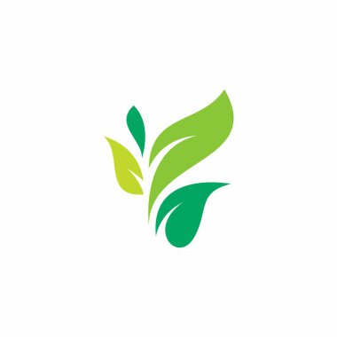 Doğa Yaprağı Logo Vektörü İllüstrasyonu. Simge Tasarımı Bırakır