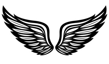 Zarif Simetrik Siyah ve Beyaz Tüy Kanatları Çizimi.