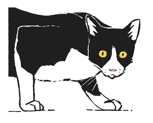 黑白相间鬼鬼祟祟家猫的设计 — 图库矢量图片