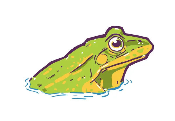 Векторная Иллюстрация Плавающей Лягушки Воде Цвете Стоковая Иллюстрация