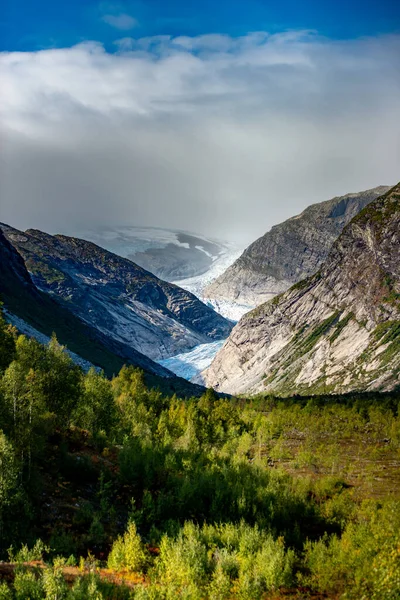 Nigardsbreen Buzulu Jostedal Daki Ziyaretçi Merkezinden Görüldüğü Gibi — Stok fotoğraf