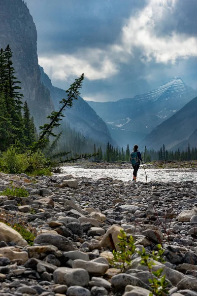 Wanderer Den Kanadischen Rocky Mountains Junge Frau Überquert Den Ghost — Stockfoto