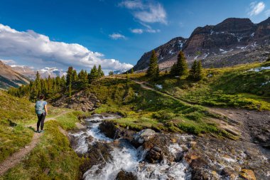 Banff Ulusal Parkı Yürüyüşçüsü Helen Gölü yolunda Alberta Kanada  