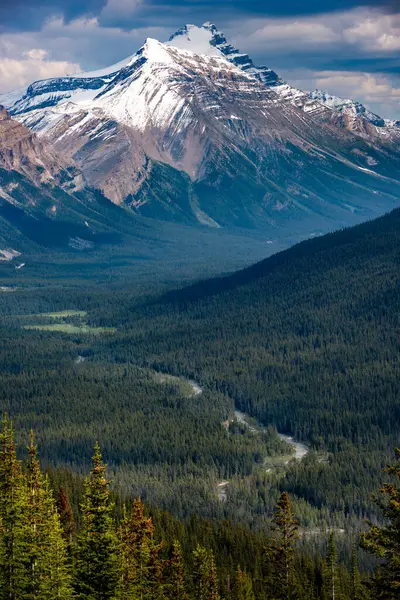 Гора Гектор Пішохідної Стежки Озера Хелен Національному Парку Банфф Альберта — стокове фото