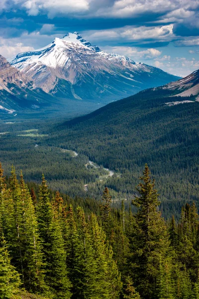 Góra Hector Szlaku Turystycznego Helen Lake Parku Narodowym Banff Alberta — Zdjęcie stockowe
