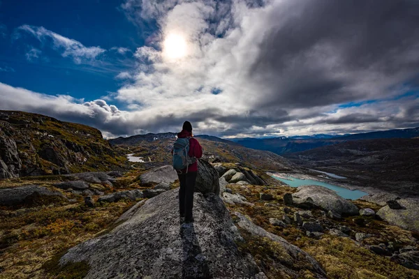 Скалаватне Озеро Приголомшливе Водоймище Салдалі Норвегія Оточений Пишними Лісами Спокійний — стокове фото