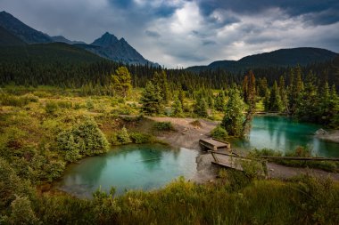 Işıldayan mürekkep küpleri, yeşil çayırlar ve canlı havuzlar hafif çiseleme altında birleşerek huzur verici bir güzellik senfonisi oluşturur. Banff Ulusal Parkı Alberta Kanada 