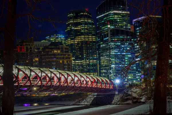 Peace Bridge at night Calgary Alberta Canada