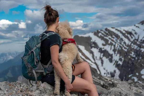 stock image A young woman sits on top of Ha Ling Peak, hugging her dog, and looking at Mount Lawrence Grassi.