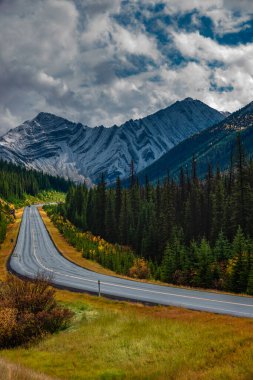 Kananaski boyunca sonbahar yolu: dolambaçlı yol, altın ağaçlar, yüksek dağlar, bulutlu gökyüzü.