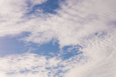 mavi beyaz bulutlar gökyüzünde