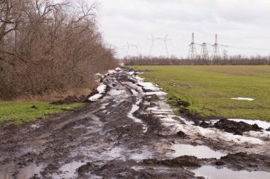 Bir orman kuşağının arka planında bahar toprağı yolu