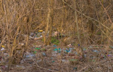 Orman plastik atıklarla kirlenmiş.