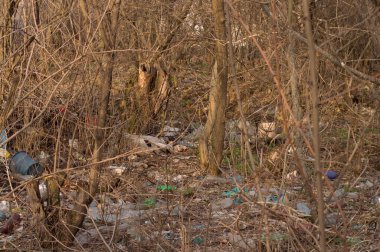 Orman plastik atıklarla kirlenmiş.