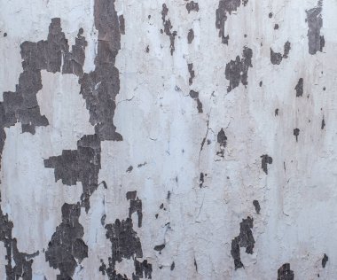 Eski duvarın siyah beyaz dokusu