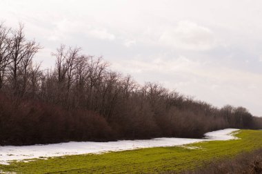 Sahada yeşillik var.