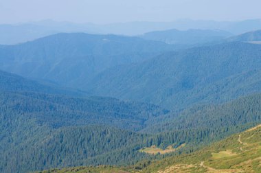 Orman dağlarda, sislerin içinde