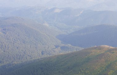 Orman dağlarda, sislerin içinde