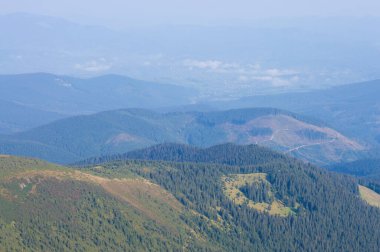 Orman dağlarda, sislerin içinde