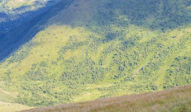 Dağ yamaçlarında yeşil çayırlar var.