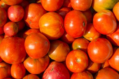Fresh organic tomatoes background texture