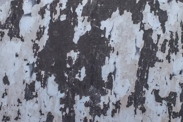 Чорно Біла Текстура Старої Стіни — стокове фото