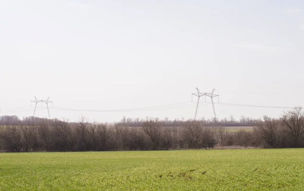 stock image green field and power line in the distance