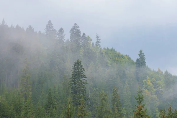 Лес Горах Тумане Против Неба — стоковое фото