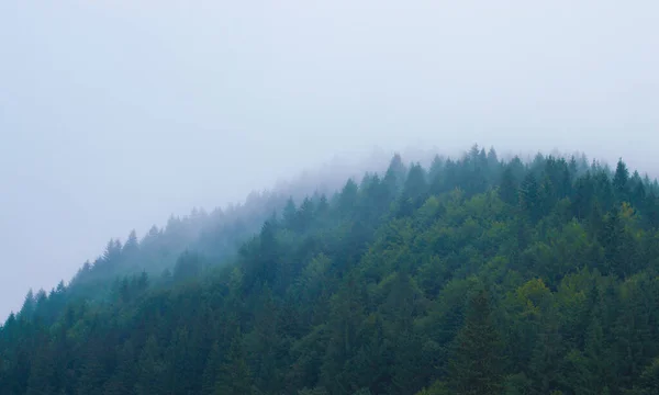 Лес Горах Тумане Против Неба — стоковое фото