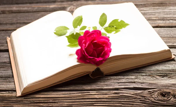 red rose lies on a book