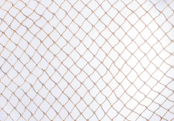 Grid Thread Small Cell Diameter — Stock Photo, Image