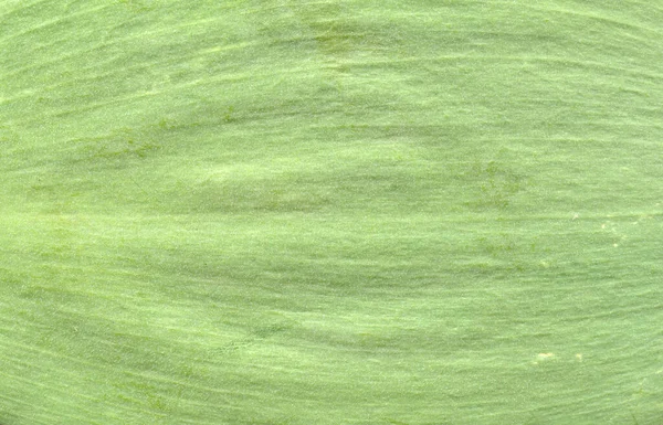 Makro Doku Yeşil Yaprak — Stok fotoğraf