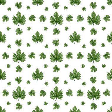 beyaz zemin üzerine yeşil yaprakları seamless modeli