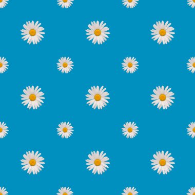 Kusursuz desen, mavi arkaplanda beyaz çiçek.