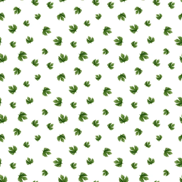 Πράσινα Φύλλα Χωρίς Ραφή Πρότυπο Λευκό Φόντο — Φωτογραφία Αρχείου