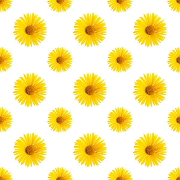 Yellow Flowers Seamless Pattern White Background — Stock Photo, Image