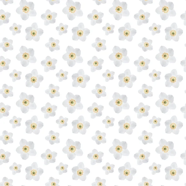 Flores Blancas Patrón Sin Costuras Sobre Fondo Blanco — Foto de Stock