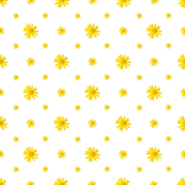 白色背景的黄花无缝图案 — 图库照片