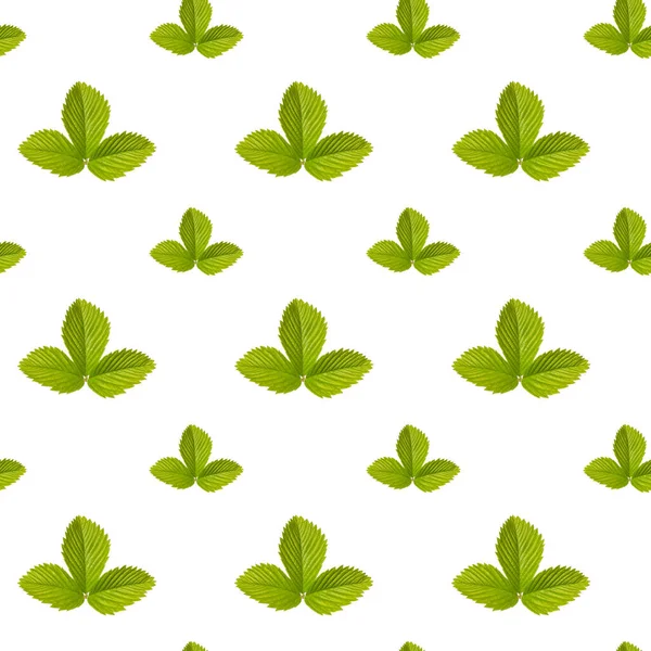 Green Leaves Seamless Pattern White Background — Stock Photo, Image