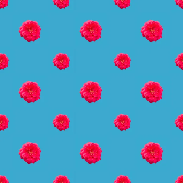 Seamless Pattern Red Flower Blu — Stock Photo, Image