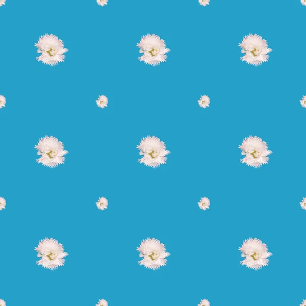 Бесшовный Узор Белый Цветок Синем Фоне — стоковое фото