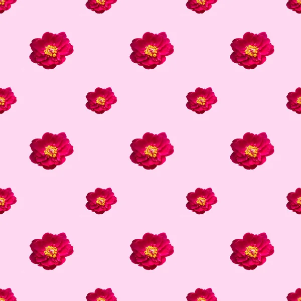 seamless pattern, burgundy flower on pin