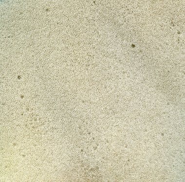 Eski paralon arkaplanının fotoğraf dokusu