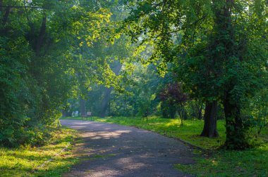 Asfalt yolu, sabah parkta.