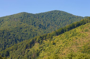 Gökyüzünün arka planında doğa dağı manzarası